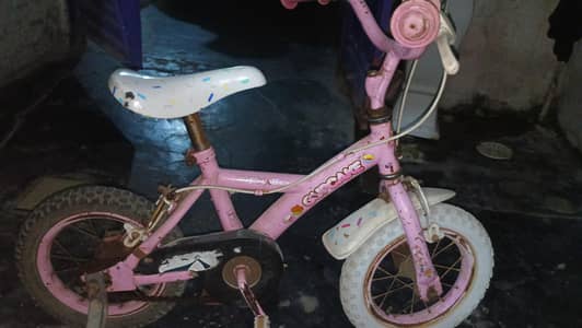 japanese cycle for kids