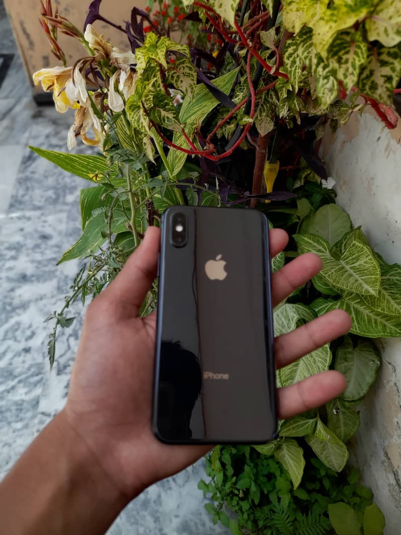 iPhone xs 1