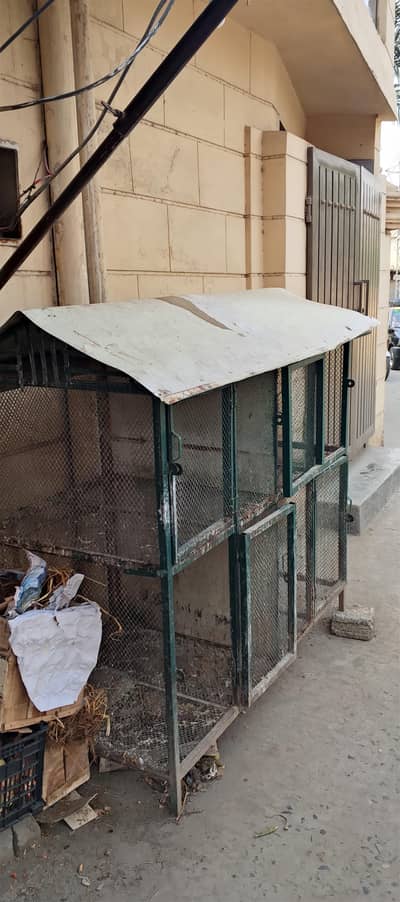iron cage for hens