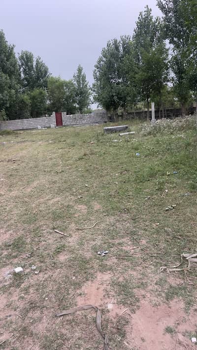 FARM FOR RENT CATTLE GOAT PET GREEN BIRDS FARMING