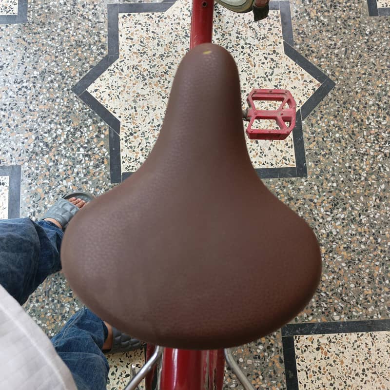 Bicycle 1