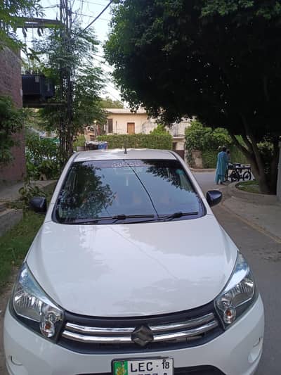 Suzuki cultus