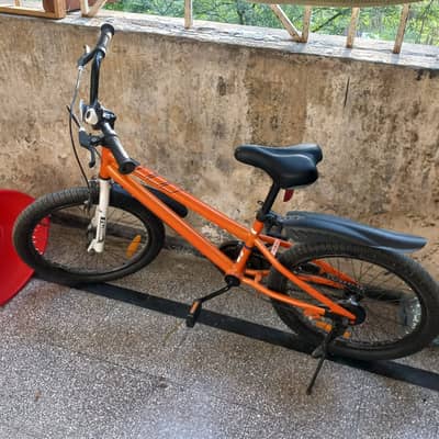 Royal Baby Freestyle Bicycle