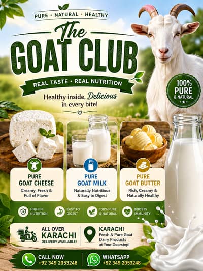 Goats | Goats Milk | milky Goats | Milk Goats For sale