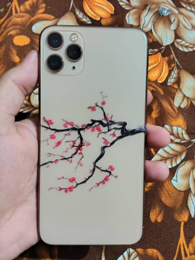 iPhone 11 Pro Max pta approved 256 GB