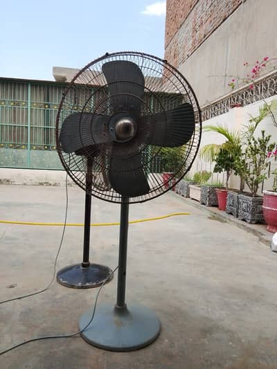Wahid Pedestal fan