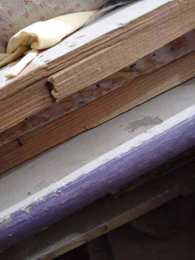 wood  shelves
