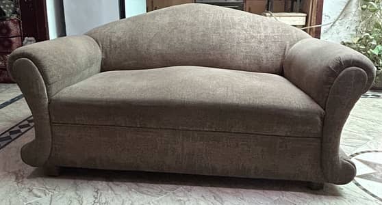 skin brown sofa