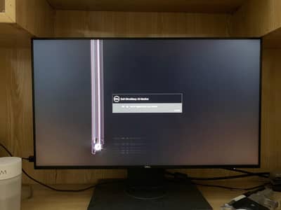 Dell ultra sharp U2419H with display lines