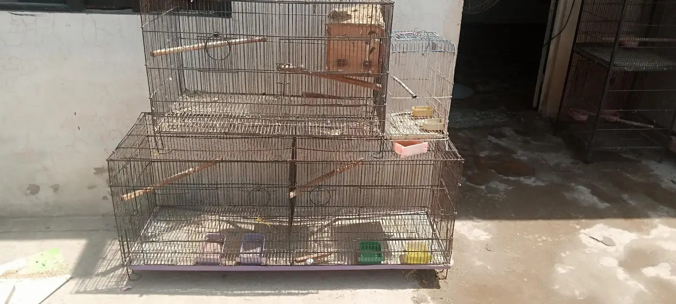 cage for sale — photo 3