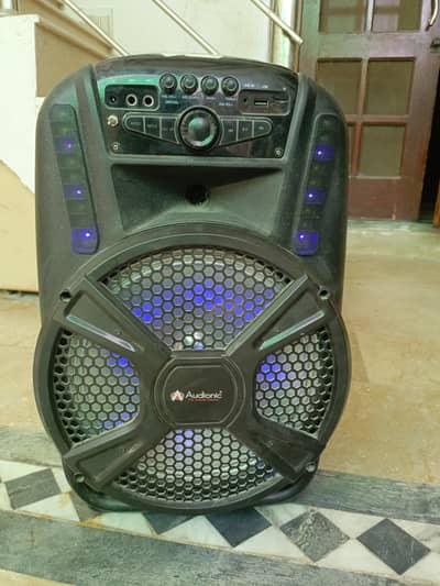 12 inch audionics Bluetooth speakers