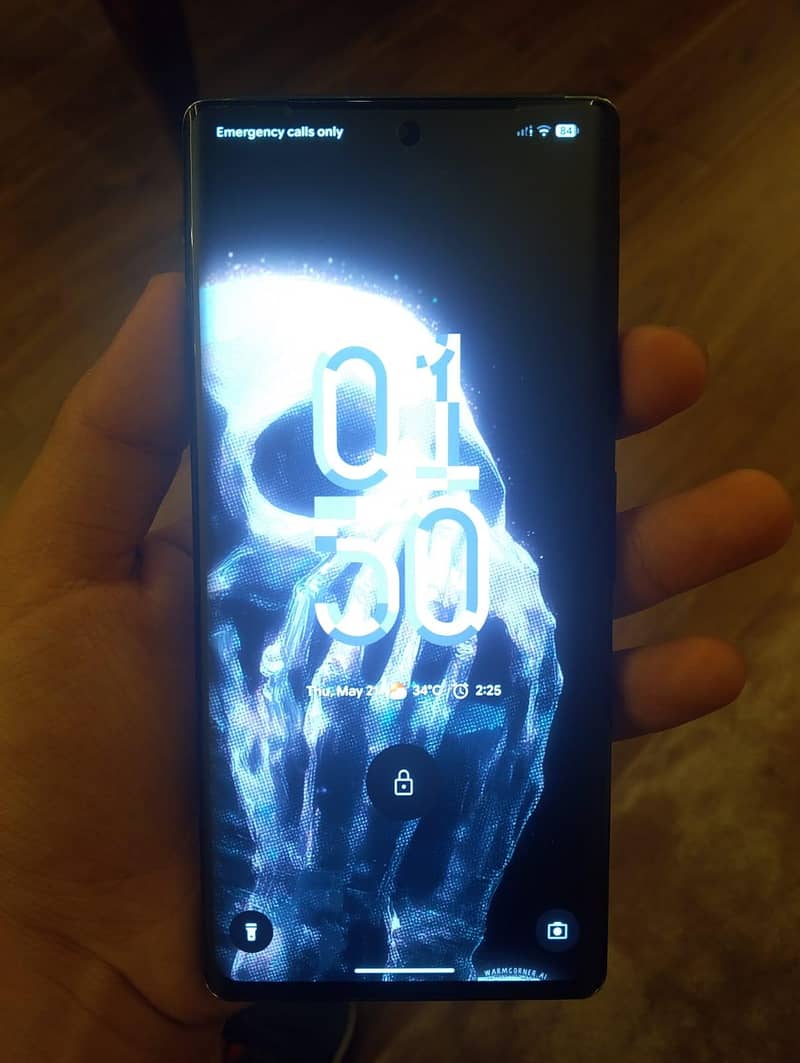 Google Pixel 6 Pro 1