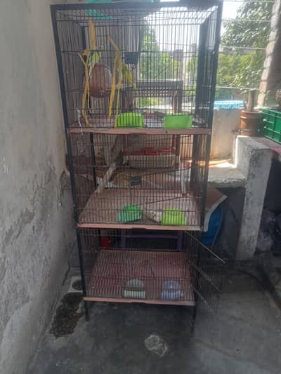 3pairs cage