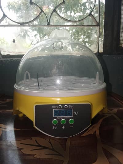 imported egg incubator