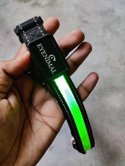 Dog Collar EYENIMAL USB Light Collar