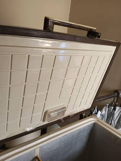 deep freezer urgent sale