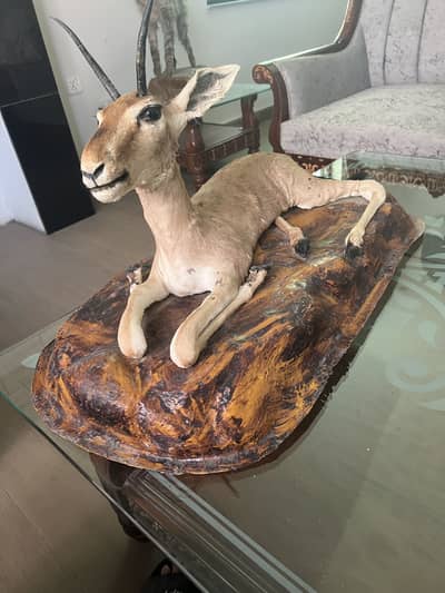 Deer Mount