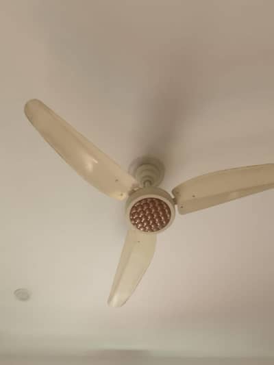 2 fans with no any kind of issue