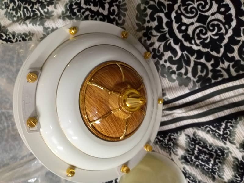 GFC ceiling Fan 5
