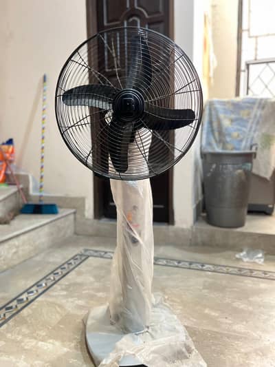 Royal Mini fan