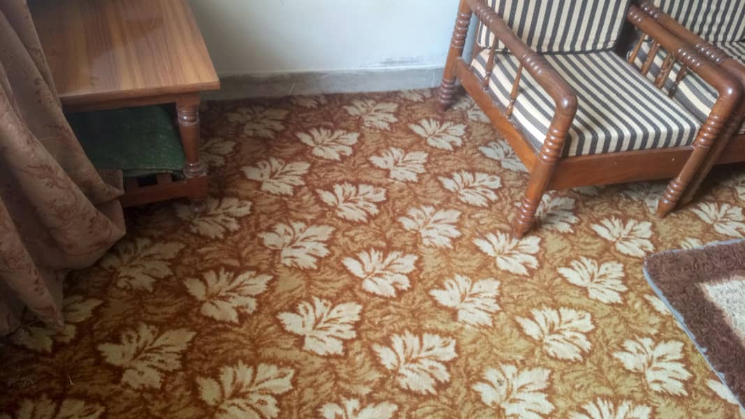 carpet 3