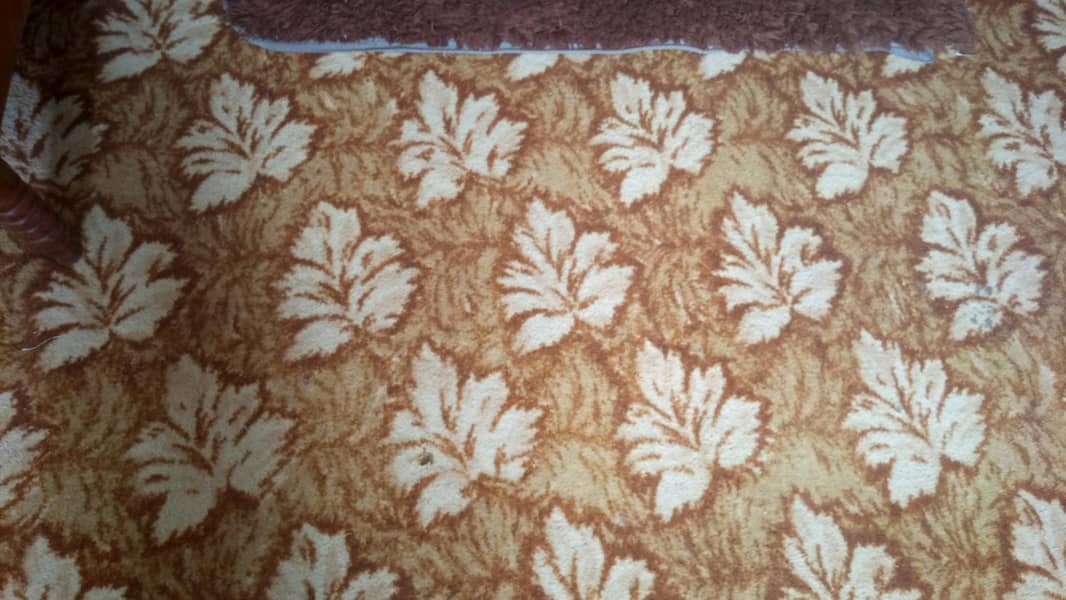 carpet 4