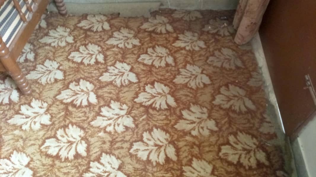 carpet 5