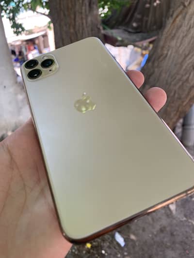 11 pro