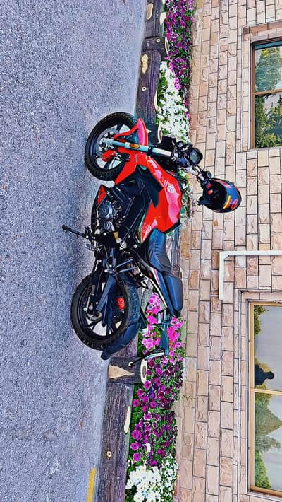 Benelli 180s 2020