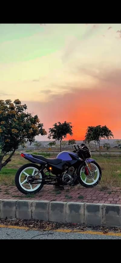 yamaha ybr