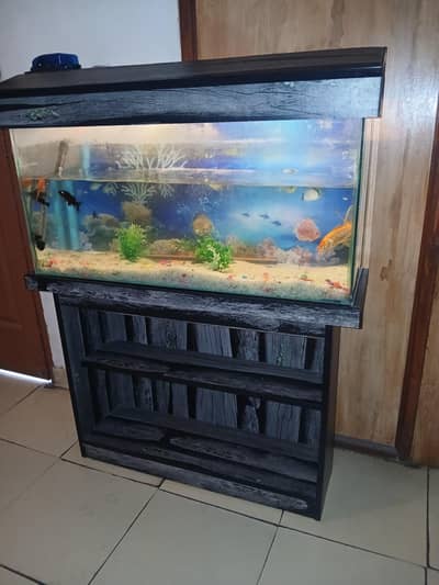 fish tank