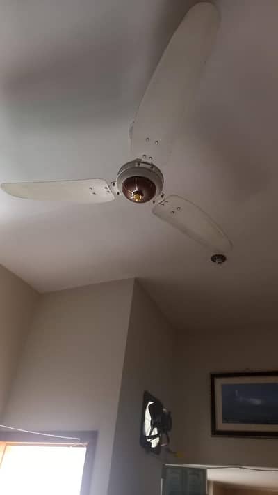 new condition royal fan 56  inch