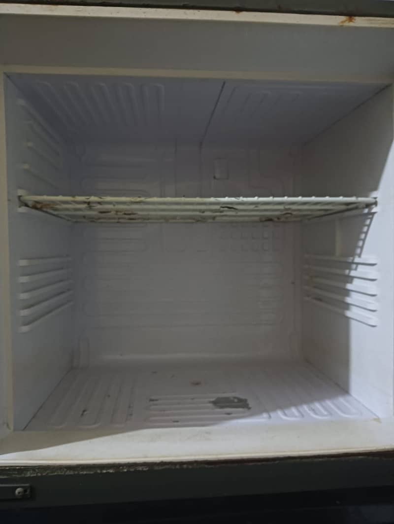 Freezer 4