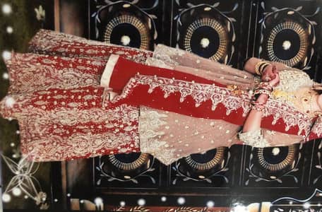 bridal dress + jullery + canon use only one time condition 10/10