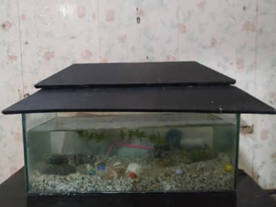 Aquarium with fish