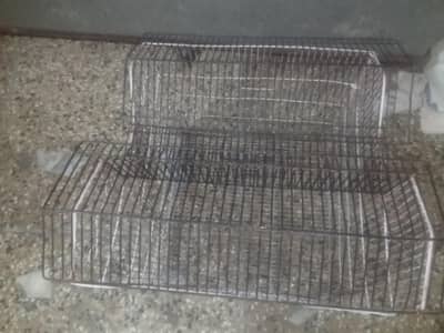 Bird cage condition 10/8