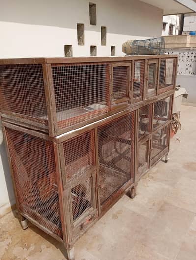 birds cage