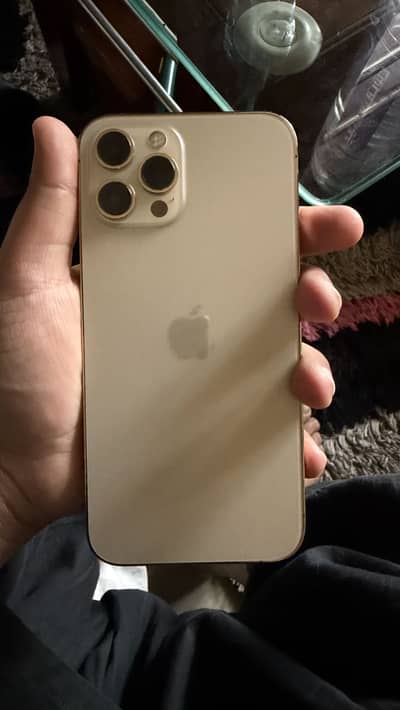 12 pro max 10/10 PTA approved 256gb Gold