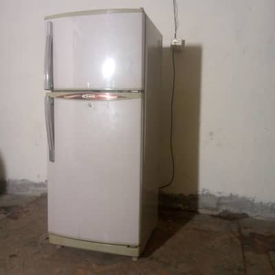 fridge medium size