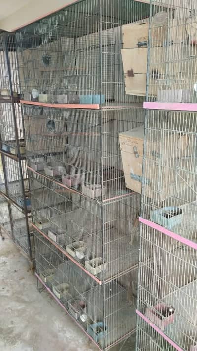 8 Portion Cages Available | Good Condition