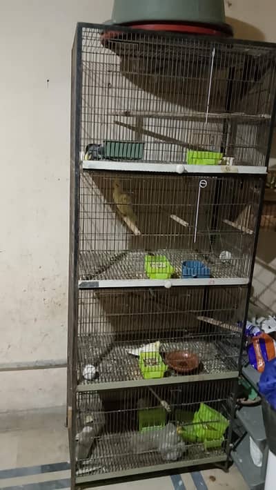 cage for sale