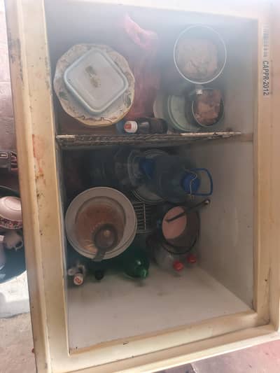 Coca-Cola Deep Freezer | Commercial Chest Freezer