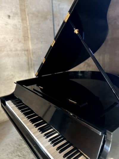 Piano | Grand Piano | Keyboard Piano | Royal Piano