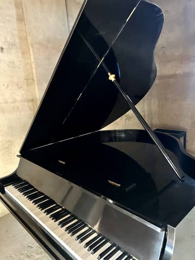 Piano | Grand Piano | Keyboard Piano | Royal Piano