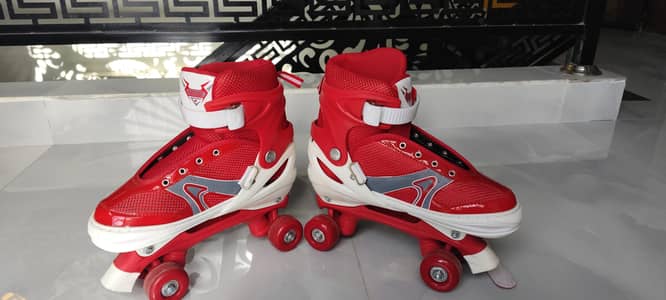 fast Skating shoes