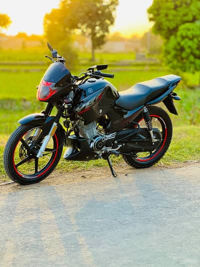 Yamaha | YBR 125 | Model 2025 | Good Condition | No Work | 10/10 |