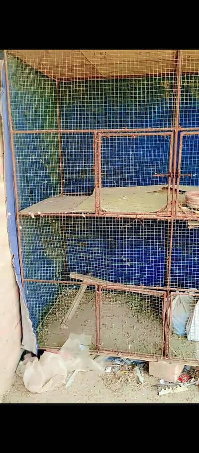 4 partion cage for sale
