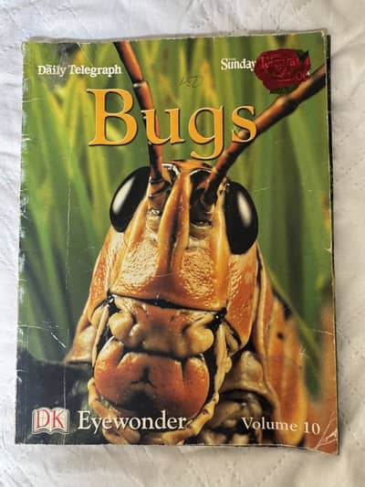 DK Eyewonder Bugs Volume 10 Kids Educational Book
