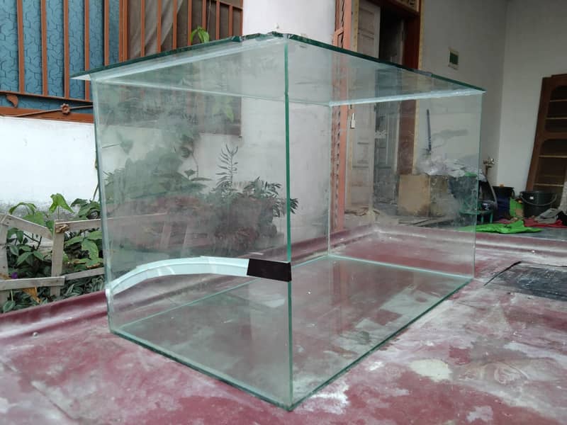Mirror Showcase 0