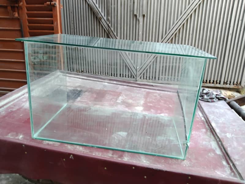 Mirror Showcase 2